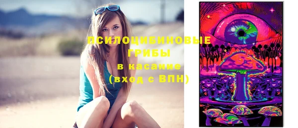 спайс Лагань