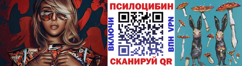 Галлюциногенные грибы GOLDEN TEACHER  Купить где  Углегорск 